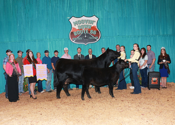 Reserve Grand Champion Owned Cow-calf Pair