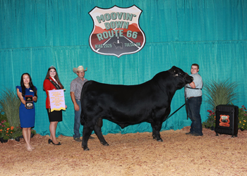 PGS Reserve Bull Division 4