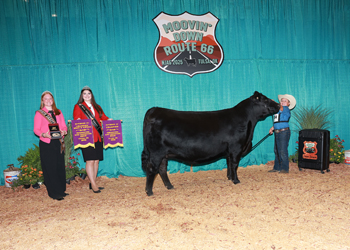 PGS Heifer Division 4