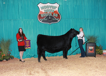 Senior Champion Female--Division 2