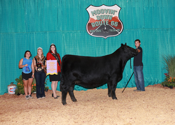 Reserve Senior Champion Female--Division 3