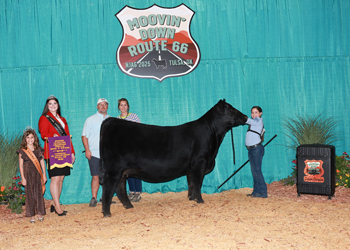 Bred-and-owned Senior Champion Female