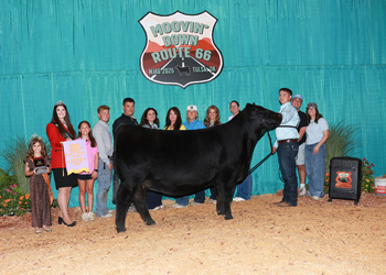 Bred-and-owned Reserve Senior Champion Female