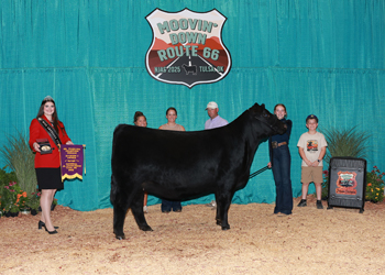 Senior Champion Female--Division 1