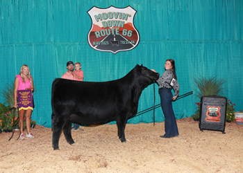 Senior Champion Female--Dvision 3