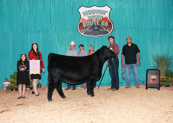 Reserve Junior Champion Heifer--Division 4