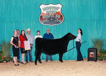 Reserve Junior Champion Heifer--Division 1