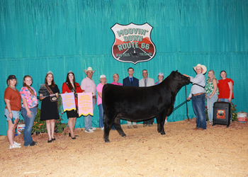 Fourth Overall Bred-and-owned Champion Female