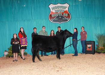 Junior Champion Heifer--Division 2