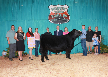Reserve Grand Champion Bred-and-owned Steer