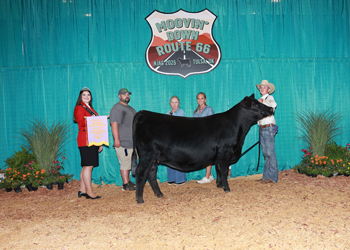 Reserve Grand Champion Bred-and-Owned PGS Female