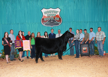 Third Overall Bred-and-owned Champion Female