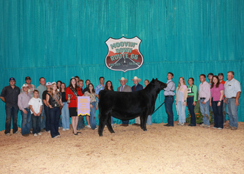 Reserve Grand Champion Owned Female