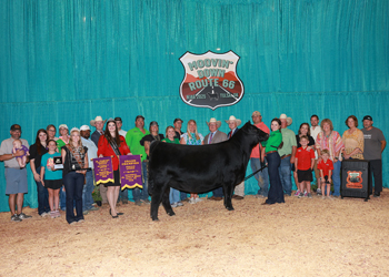 Grand Champion Owned Female
