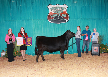 PGS Reserve Heifer Division 2