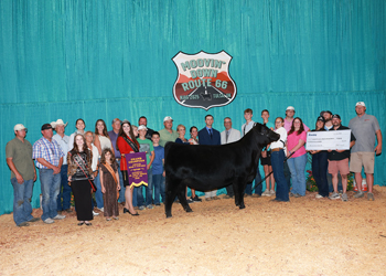 Grand Champion Bred-and-owned Female
