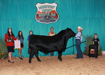 PGS Reserve Bull Division 3