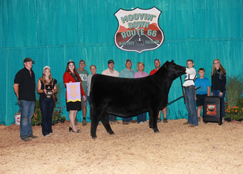 Reserve Junior Champion Heifer--Division 5