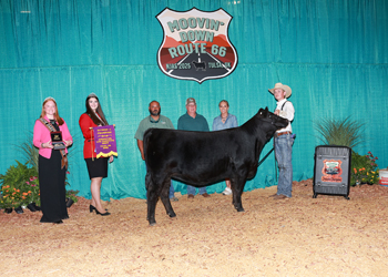 PGS Heifer Division 2