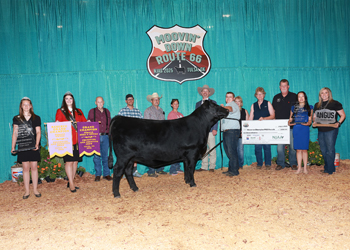 Grand Champion Bred-and-Owned PGS Female