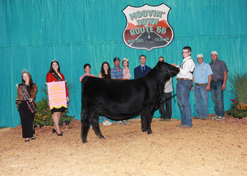 Fifth Overall Bred-and-owned Champion Female