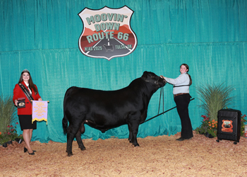 PGS Reserve Bull Division 2