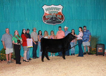 Reserve Senior Heifer Calf Champion--Division 3