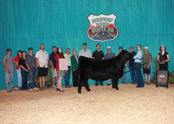Reserve Intermediate Champion Heifer--Division 2