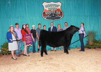Grand Champion Bred-and-owned Steer