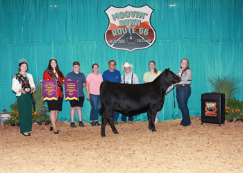 PGS Heifer Division 1