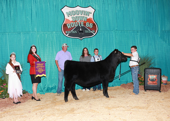 Senior Heifer Calf Champion Division 1