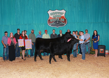 Reserve Grand Champion Bred-and-owned Cow-calf Pair