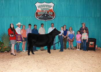 Senior Heifer Calf Champion--Division 2