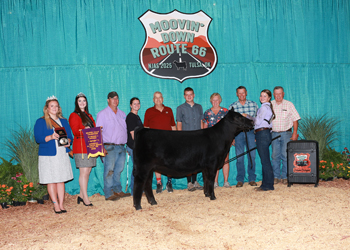 Senior Heifer Calf Champion--Division 1