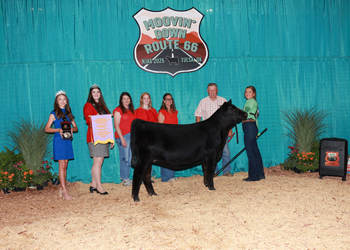 Reserve Senior Heifer Calf Champion--Division 1