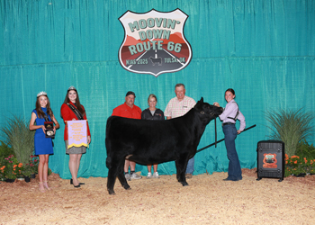 Reserve Intermediate Champion Heifer--Division 1