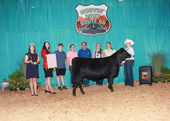 PGS Reserve Heifer Division 1