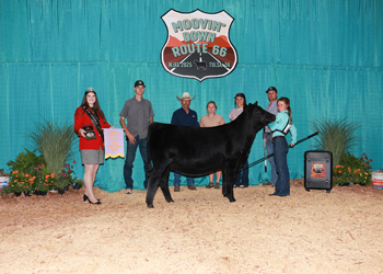 Reserve Senior Heifer Calf Champion--Division 2