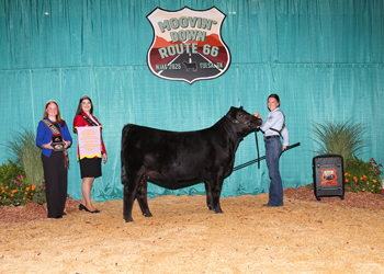 Reserve Senior Heifer Calf Champion Division 2