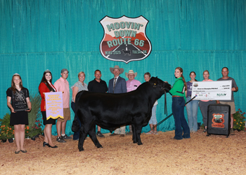 Reserve Grand Champion PGS Bull