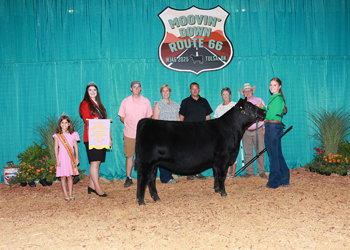 Reserve Division 1 - Bred-and-Owned PGS Female