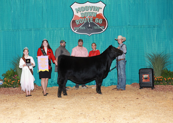Reserve Intermediate Heifer Division 1