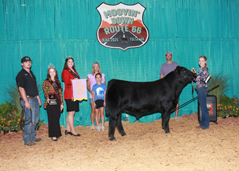 Bred-and-owned Reserve Senior Bull Calf Champion