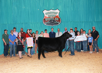 Reserve Grand Champion Bred-and-owned Female