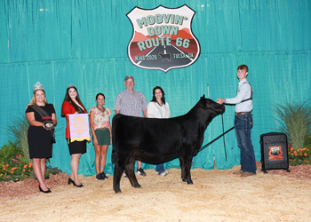 Reserve Senior Heifer Calf Champion Division 1