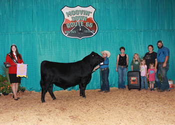 PGS Reserve Bull Division 1