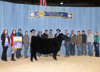 Grand Champion Female Grand Champion Female