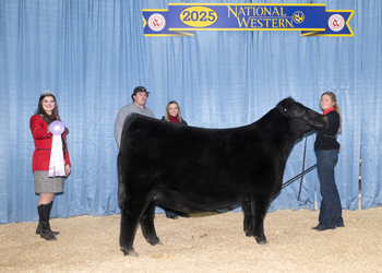 Reserve Intermediate Champion Heifer Reserve Intermediate Champion Heifer
