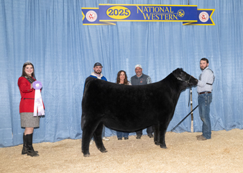 Reserve Junior Champion Heifer Reserve Junior Champion Heifer