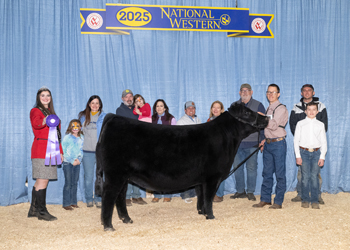 Intermediate Champion Heifer Intermediate Champion Heifer